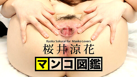 Ryoka Sakurai Osakaxxx
