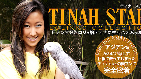 Tinah Star Asiamusume