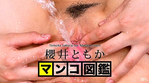 Tomoka Sakurai Porn Star