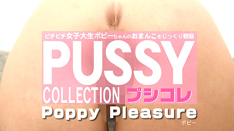 Poppy Pleasure Shaved